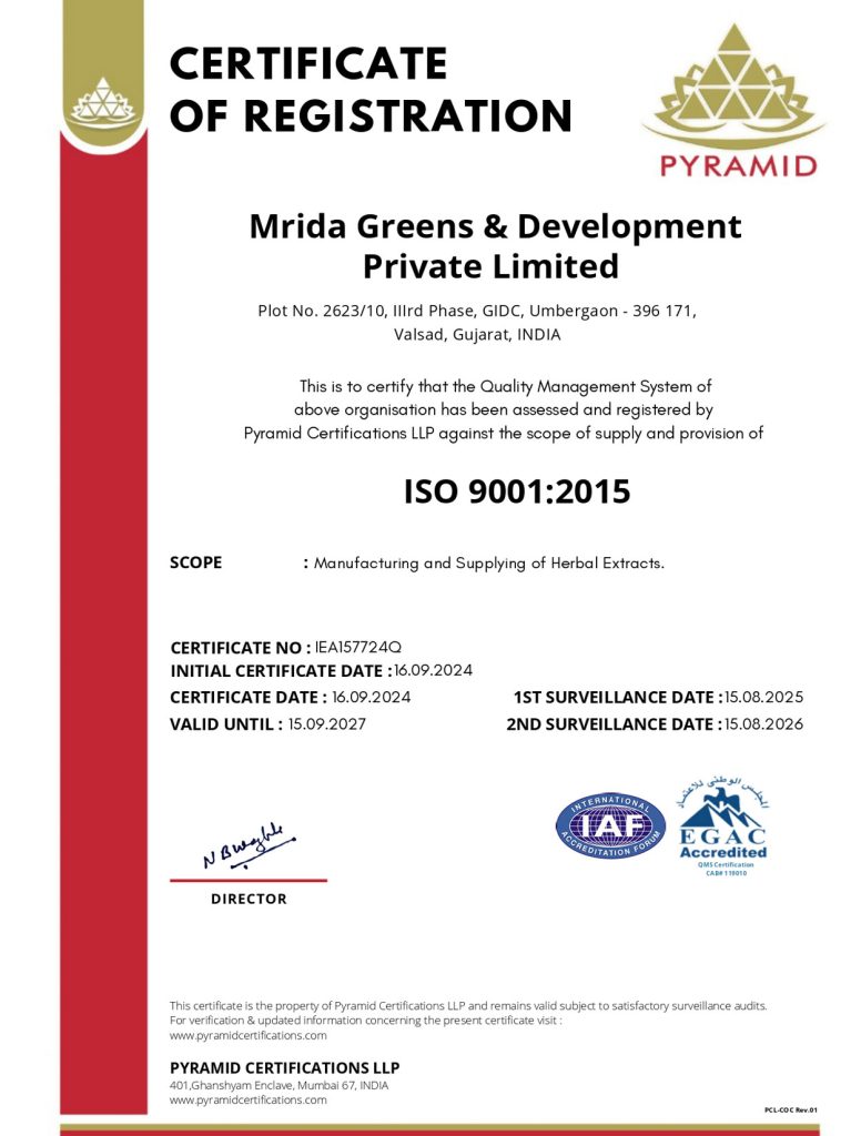 iso certificate