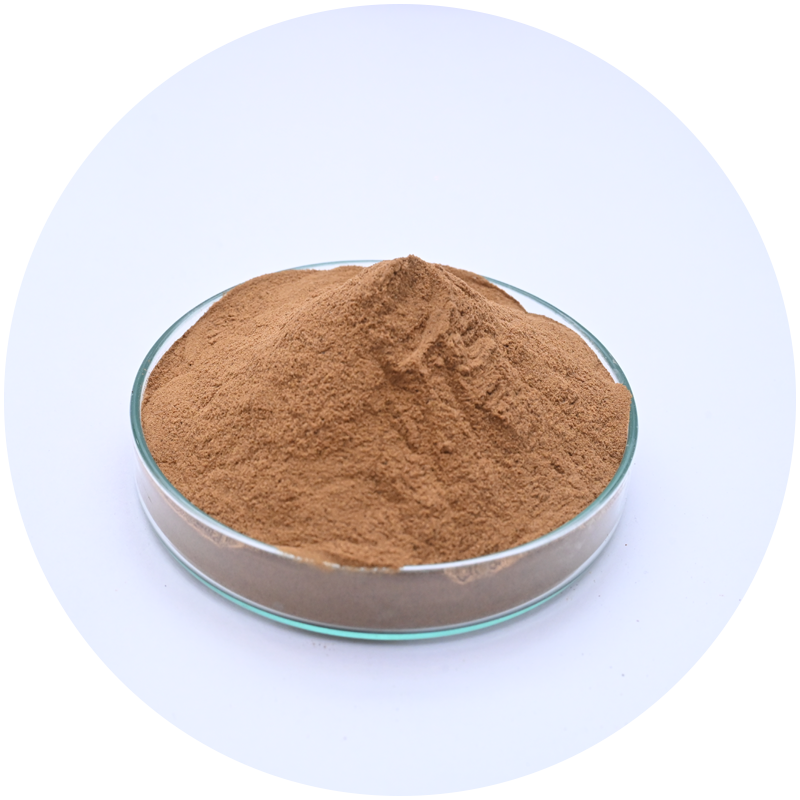 morinda extract
