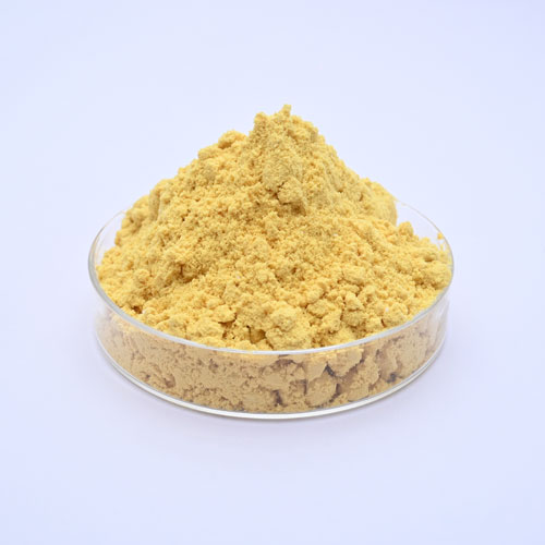 product5