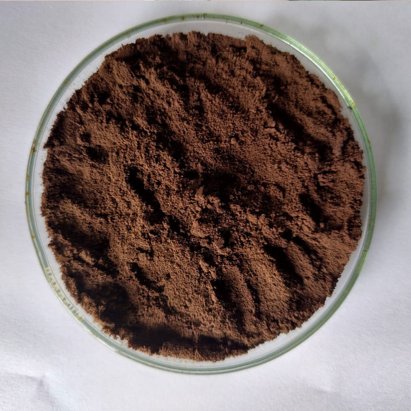 jamun extract 40