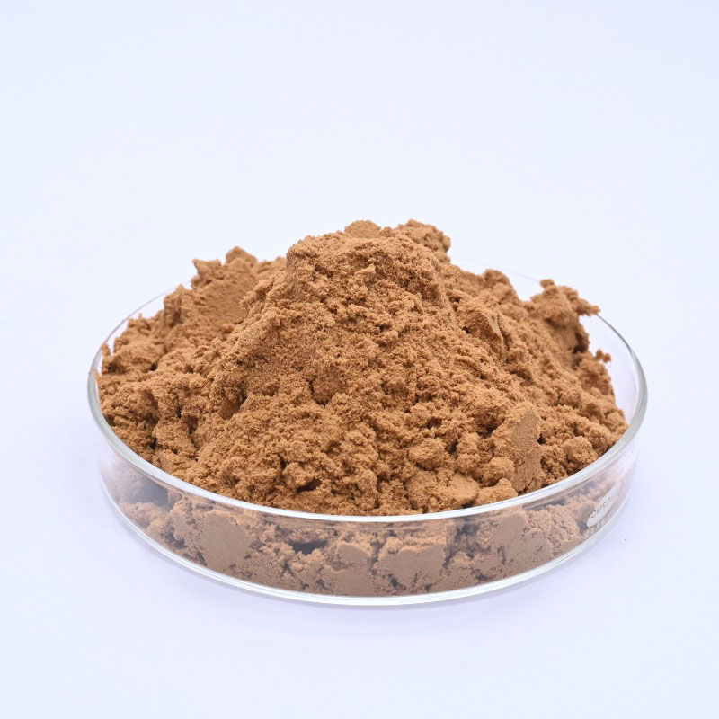 shatavari extract